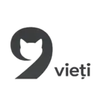 chatgpt image feb 2, 2026, 10 29 08 pm